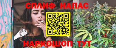 сатива Малгобек