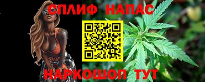 сатива Малгобек