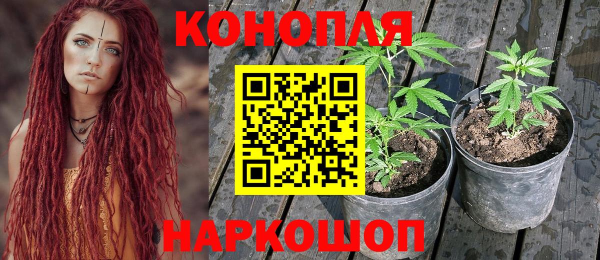 Конопля VHQ  Вход с VPN  Бошки Шишки THC 21%  Златоуст  Бошки Шишки конопля 